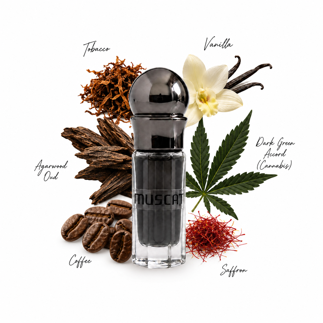 Muscat | Perfume Oil | 3ml